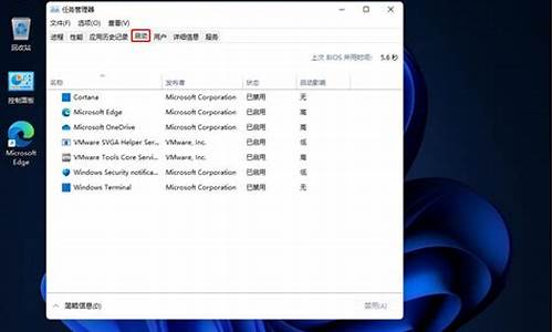 windows11开机后黑屏_windows11开机后黑屏进