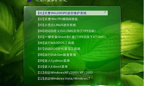 天意的英文缩写_天意的win7pe