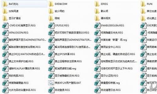 xp优化5000项注册表文件_注册表优化调整文件夹
