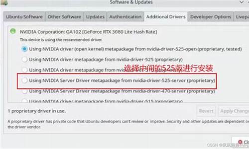 n卡驱动安装选项_z470安装n卡驱动