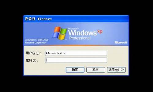 xp系统密码忘记了怎么办开不开机_xp系统开机密码忘记怎么办